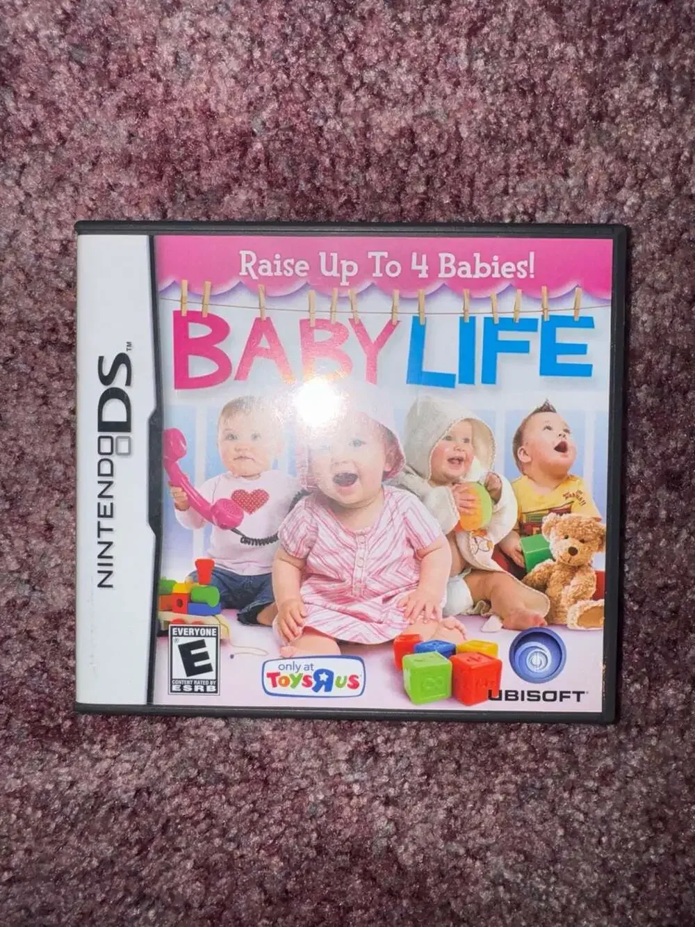 Baby Life Nintendo DS Game Tested Works